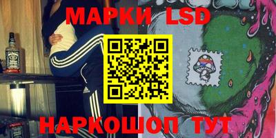 амф Бийск