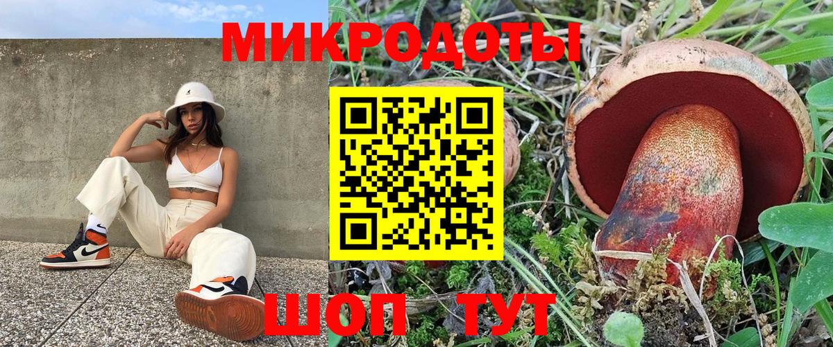 Кисловодск  Галлюциногенные грибы Psilocybe  Вход с VPN 